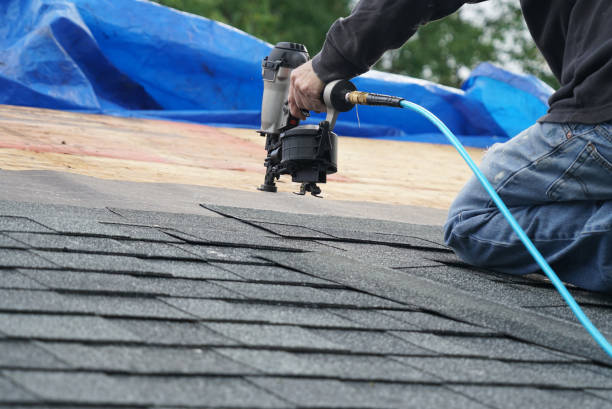 Best Roof Maintenance and Cleaning  in Ansted, WV